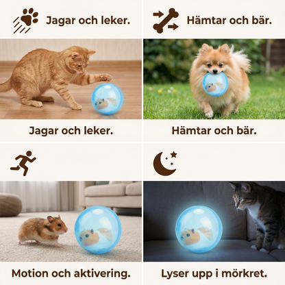 Rullande hamster
