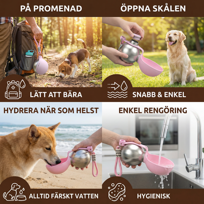 2-i-1 resevattenflaska för hund – läckagesäker flaska i rostfritt stål med silikonskål