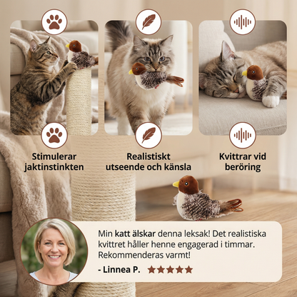 Kvitterande fågel leksak för katter