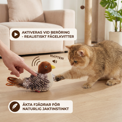 Kvitterande fågel leksak för katter