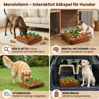 Morotsfarm – Interaktivt Sökspel för Hundar