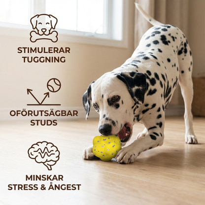 Robust Studsboll för Hundar för Stressavlastning