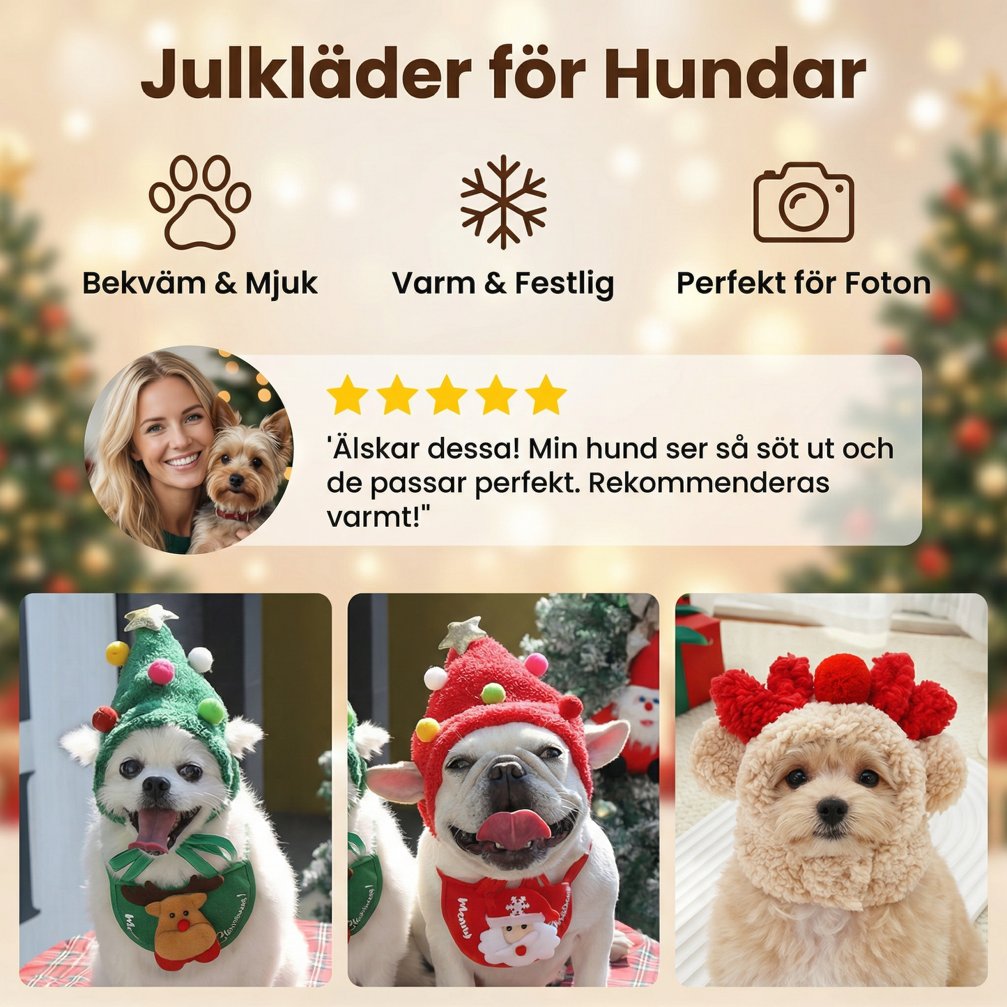 Julkläder för Hundar