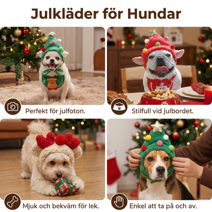 Julkläder för Hundar