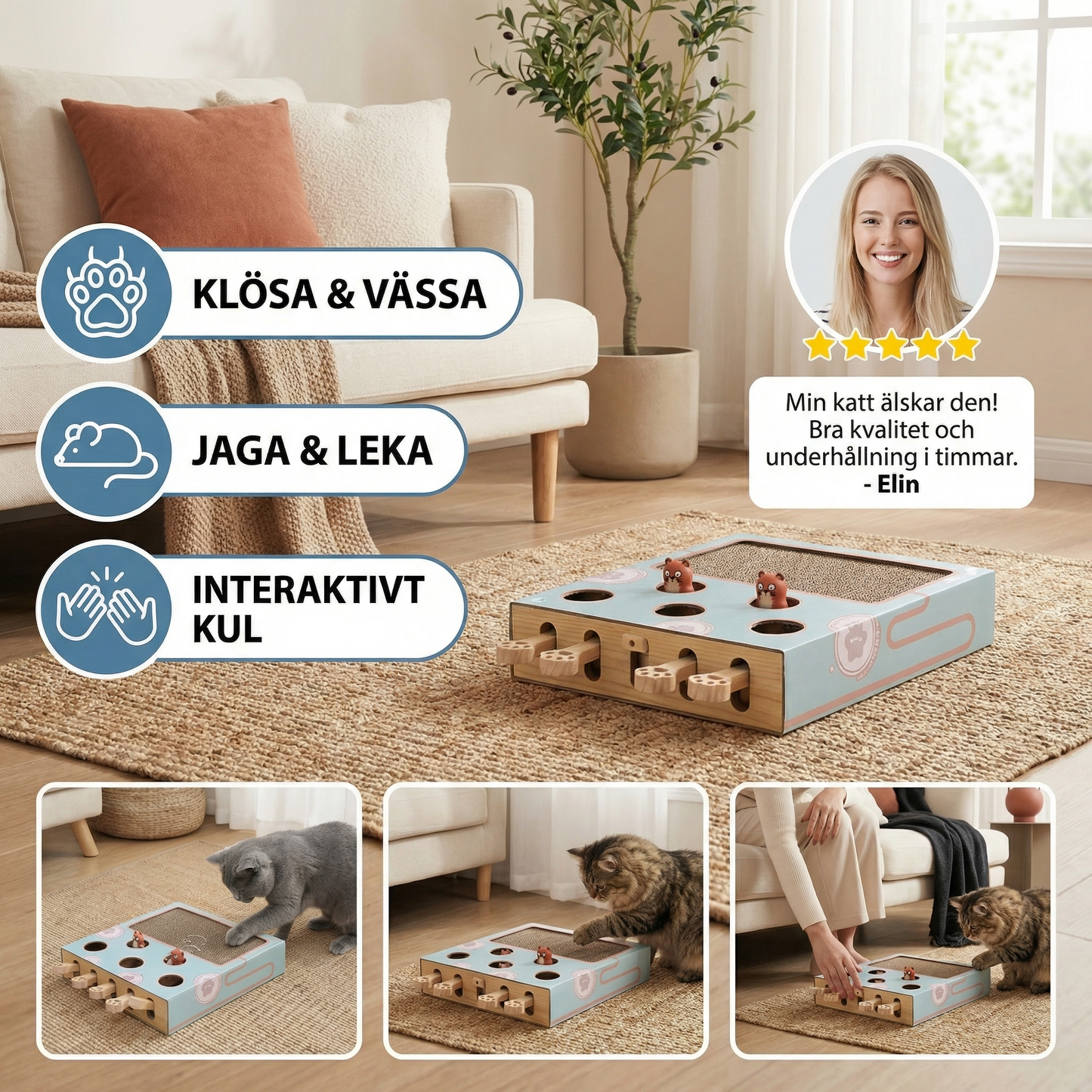 3-i-1 Leklåda för Katter