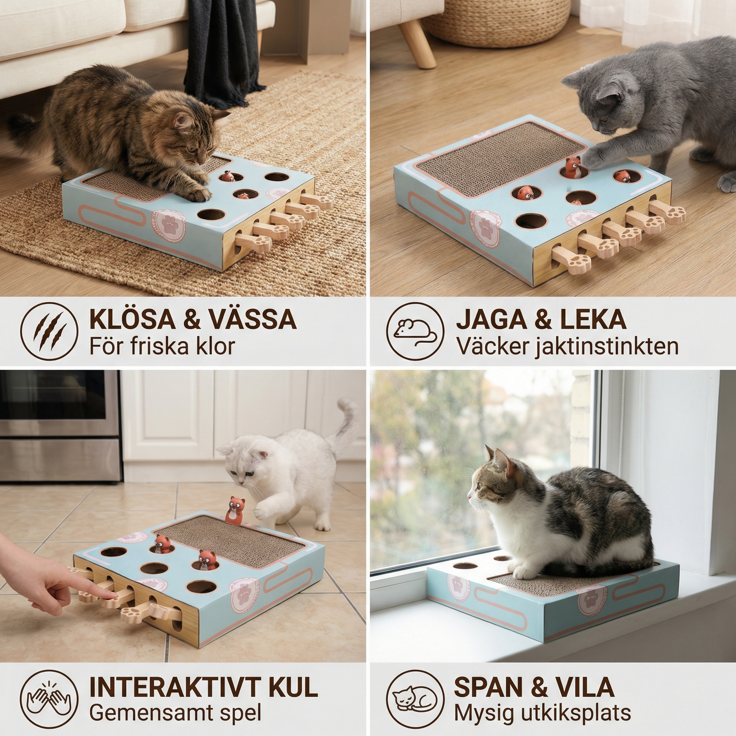 3-i-1 Leklåda för Katter