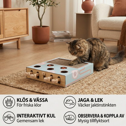 3-i-1 Leklåda för Katter