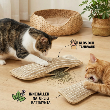 Naturlig kattmynta-leksak med klöspel av hamparep för klo- och tandvård