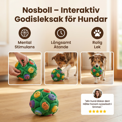Nosboll – interaktivt godisleksak för hundar