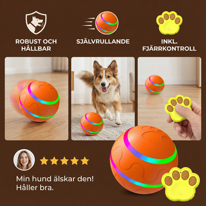 Robust och hållbar självrullande hundboll
