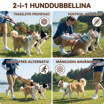 2-i-1 hunddubbellina med 360° vridled – Trasselfri & stötdämpande