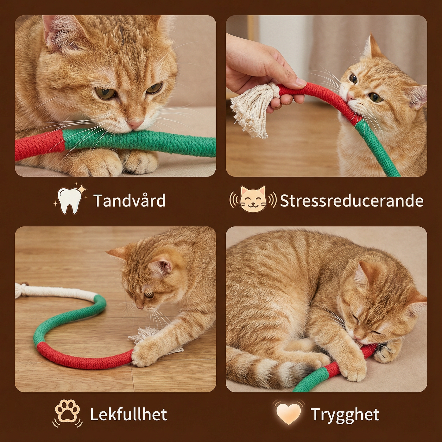Naturligt katt-tuggrepp – Slitstarkt, tandvårdande & stressreducerande
