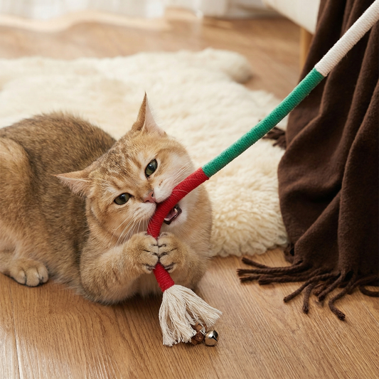 Naturligt katt-tuggrepp – Slitstarkt, tandvårdande & stressreducerande